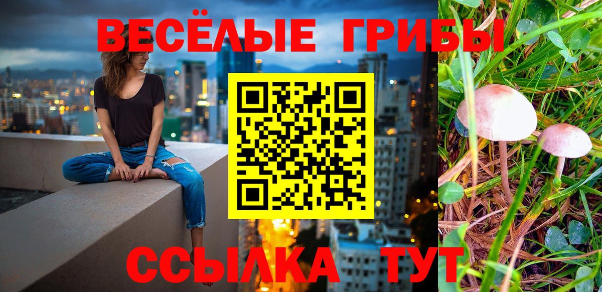 наркотики  Галлюциногенные грибы Psilocybine cubensis  Псилоцибиновые грибы мицелий  Вход с VPN  Новотроицк 